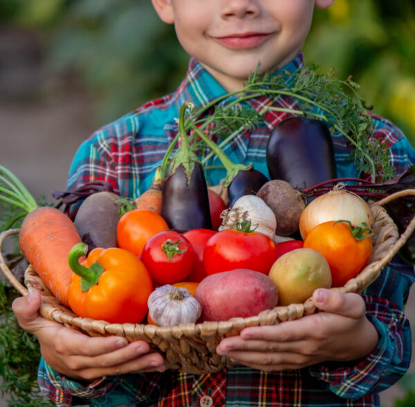 boy in the garden holding a bowl of freshly picked vegetables. selective focus.